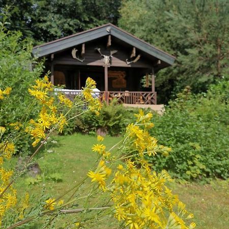 Blockhaus Am Twistesee Mit 3 Schlafzimmern Bad Arolsen Extérieur photo