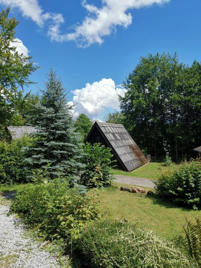 Blockhaus Am Twistesee Mit 3 Schlafzimmern Bad Arolsen Extérieur photo