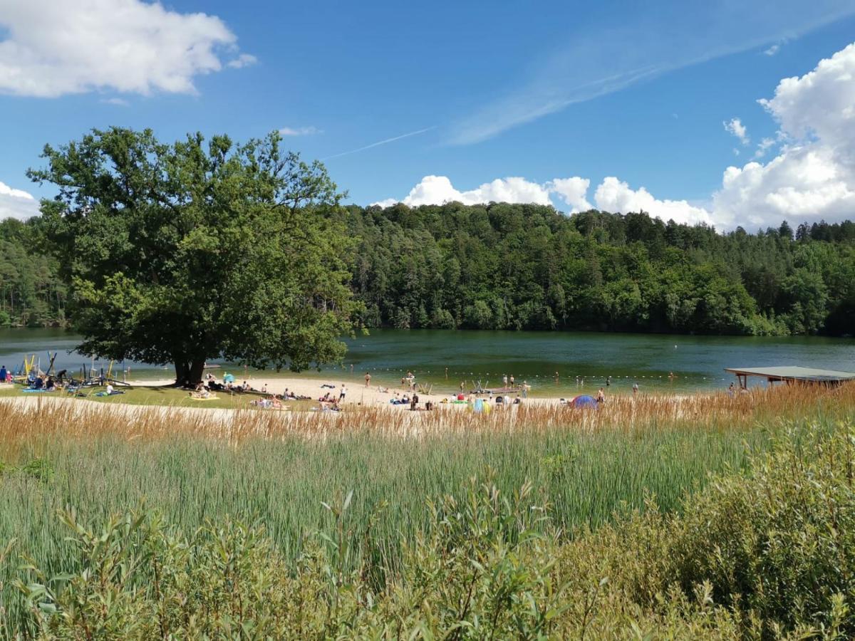 Blockhaus Am Twistesee Mit 3 Schlafzimmern Bad Arolsen Extérieur photo