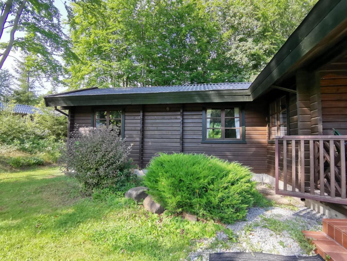 Blockhaus Am Twistesee Mit 3 Schlafzimmern Bad Arolsen Extérieur photo