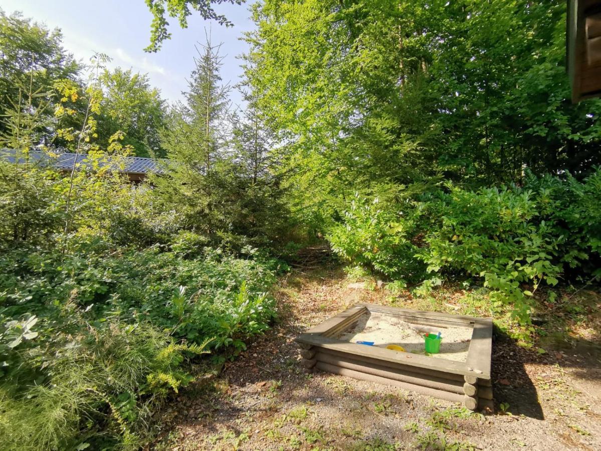 Blockhaus Am Twistesee Mit 3 Schlafzimmern Bad Arolsen Extérieur photo